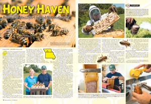 Business is abuzz for Crooked Hill Beekeeping in Chillicothe, Mo. See full story online.